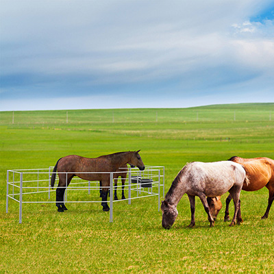 Portable horse fence application scenarios