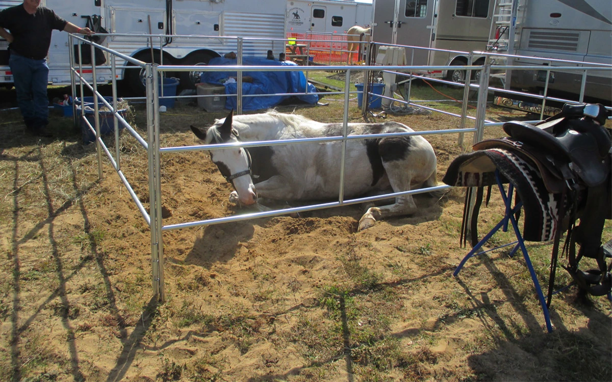 Portable Horse Panels Aluminum Fence Panels