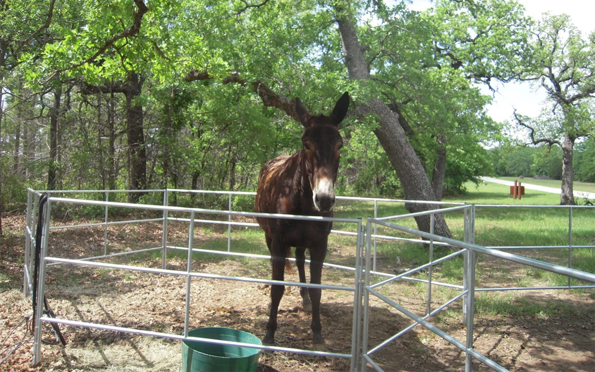 Portable Horse Panels Aluminum Fence Panels