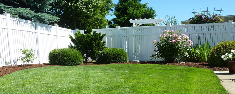 Vinyl-Coated Chain Link Fences