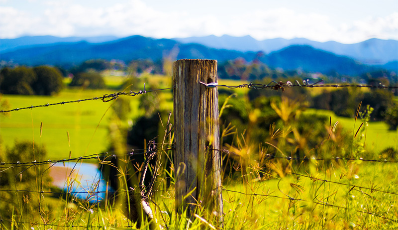 Barbed Wire Fences