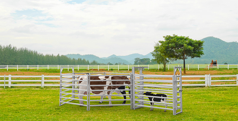 High-Tensile Fences