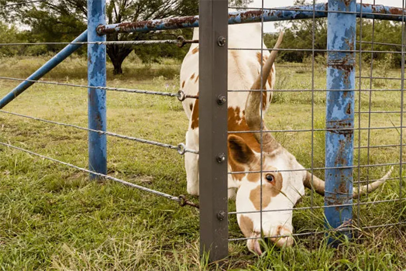 High-Tensile Wire Fences