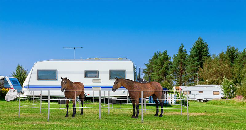 Horse Panels