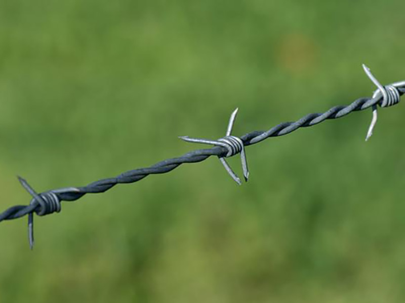 Barbed wire