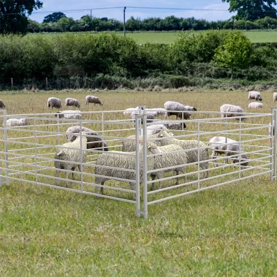 8ft 7 Railed Metal Galvanized Sheep Hurdle Fence