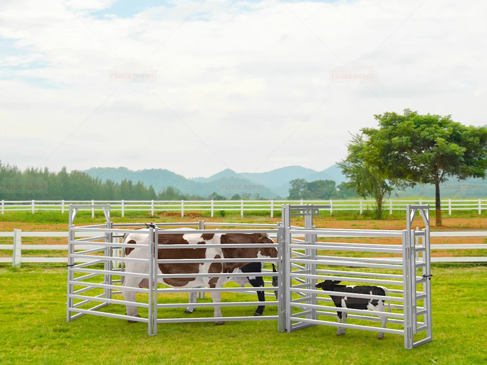 Cattle Yard Fences