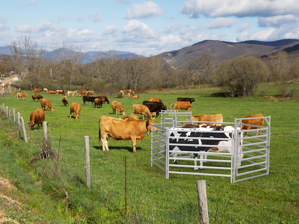 Farm Fences