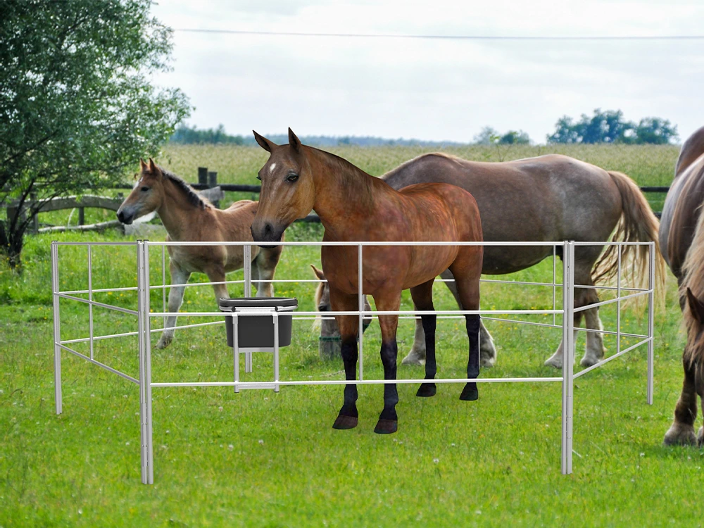 Farm Fences