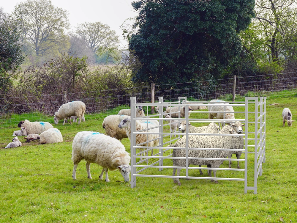 Farm Fences