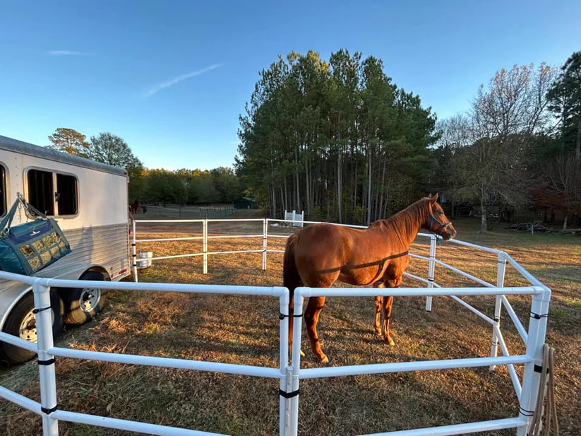 Portable Horse Fence