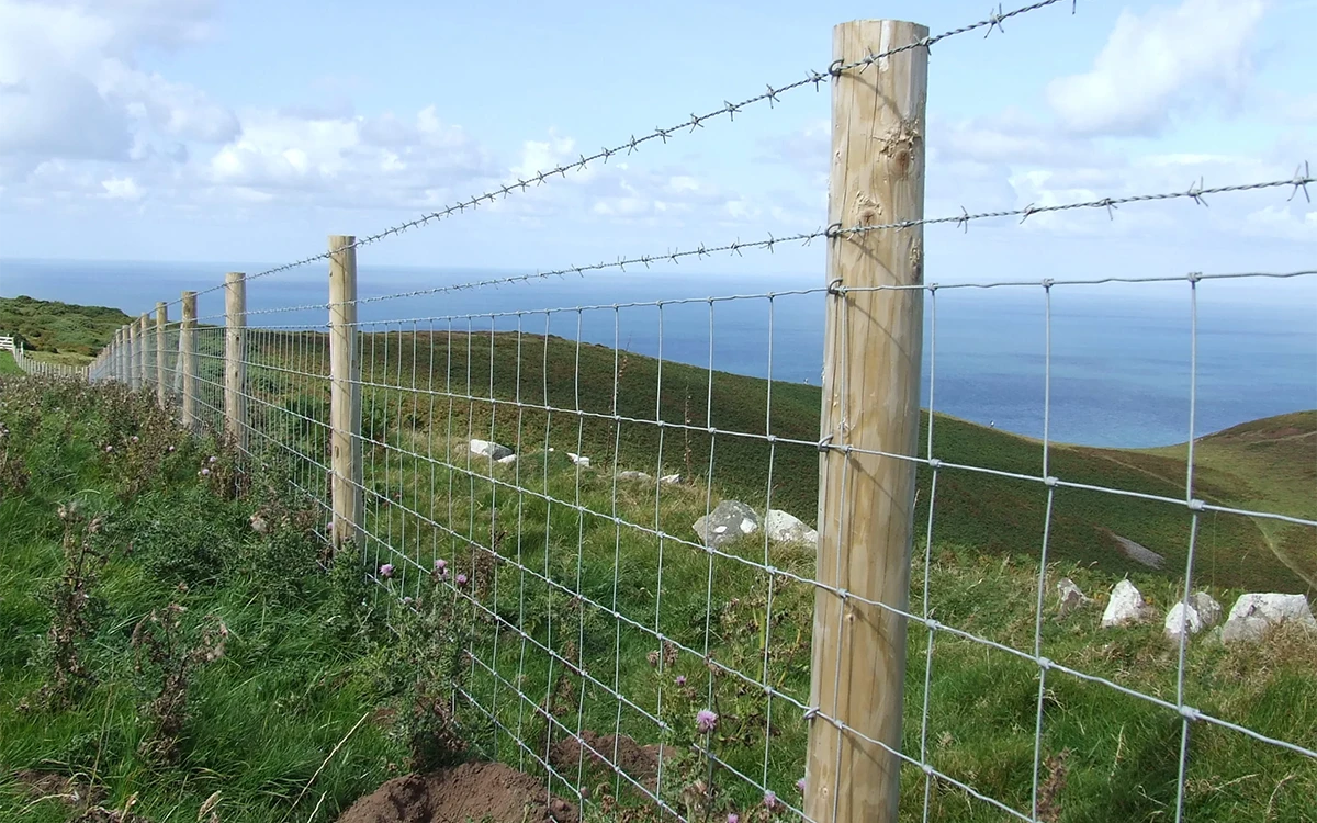 Light Stock Fence Panels