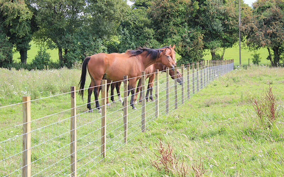 Light Stock Fence Panels