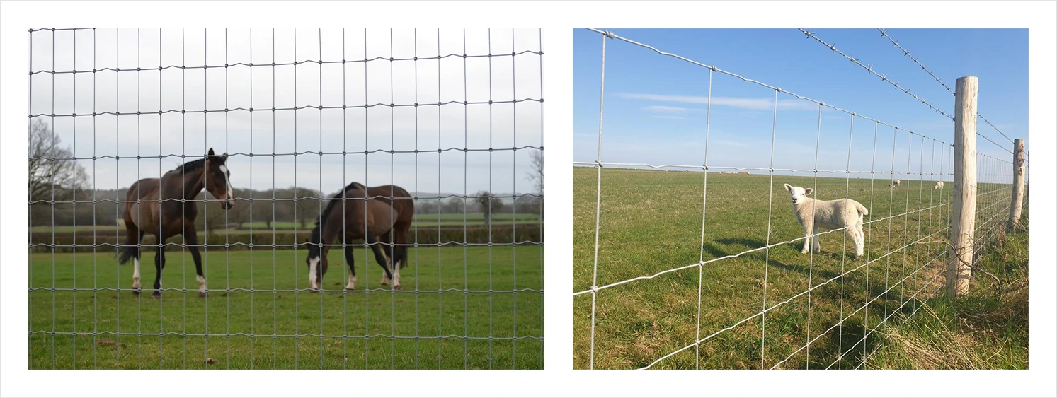 Square Knot Torus High Tensile Fence Usage Scenarios