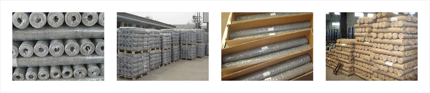 Wire Mesh Packing