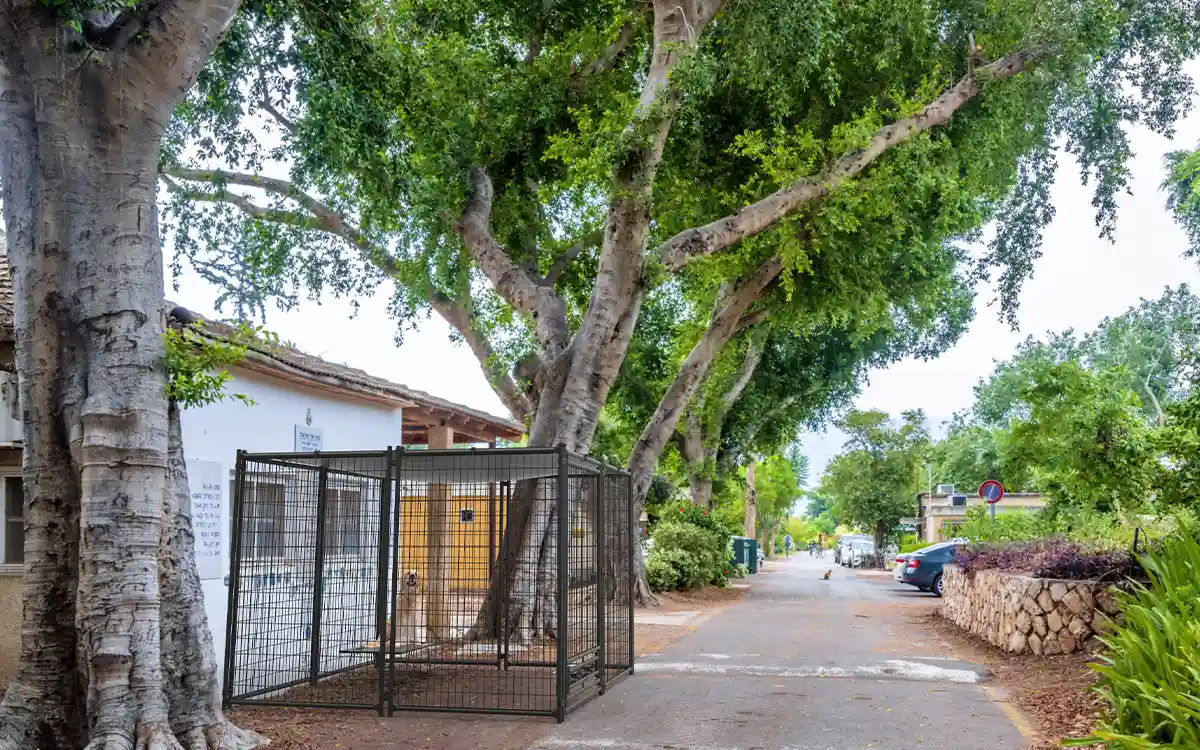 Black Mesh Welded Wire Dog Kennel Panel