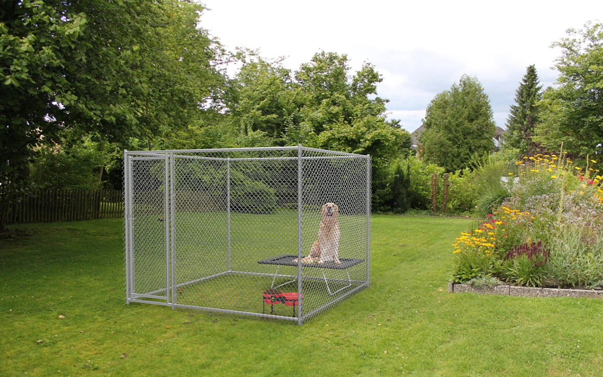 Chain Link Dog Kennel