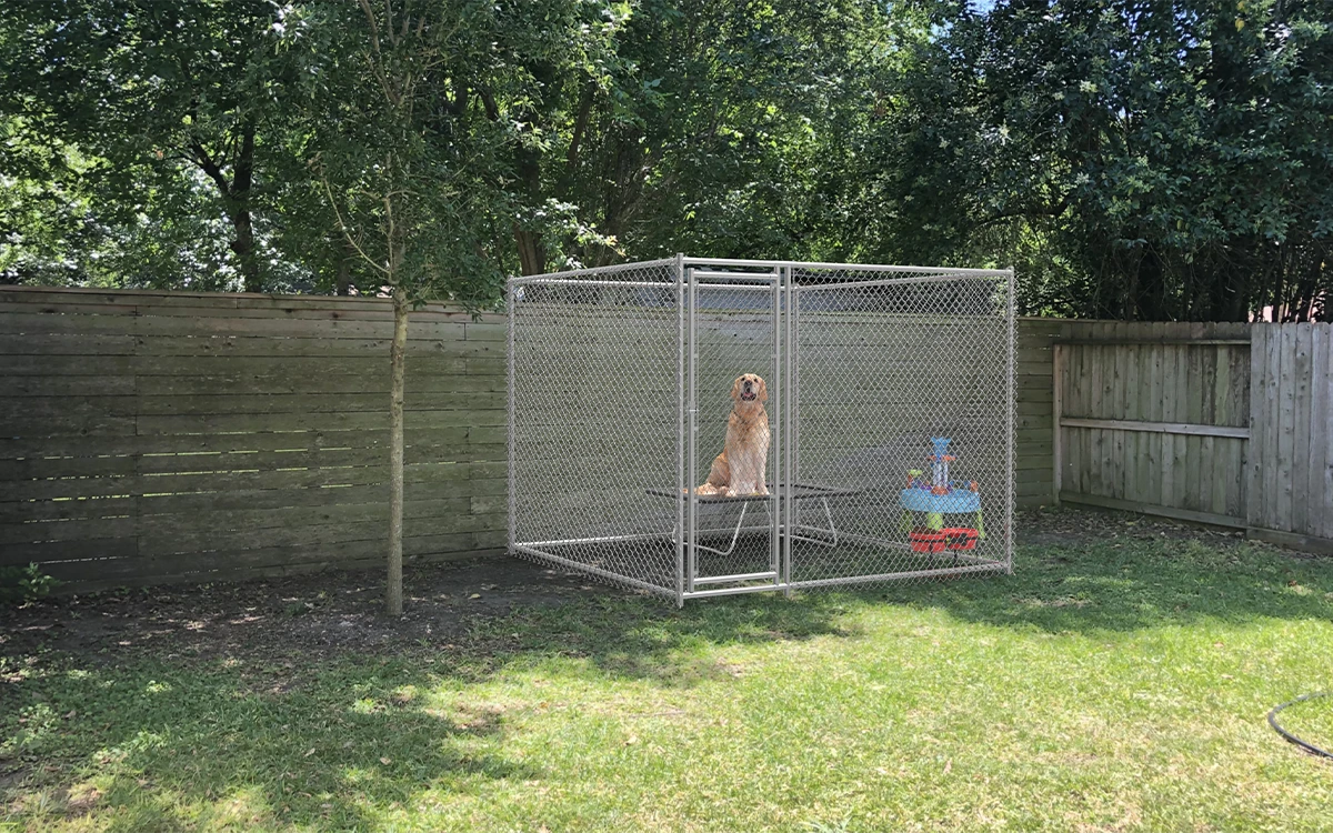 Chain Link Dog Kennel