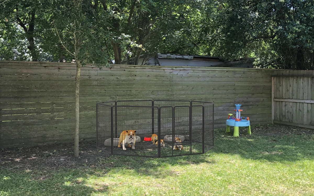 Portable Metal Dog Playpen Usage Scenarios