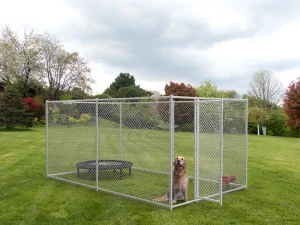 Chain Link Dog Kennels