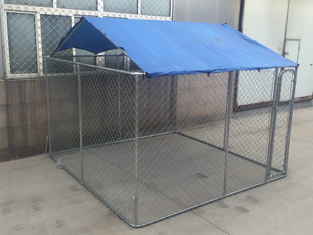 Chain Link Dog Kennel