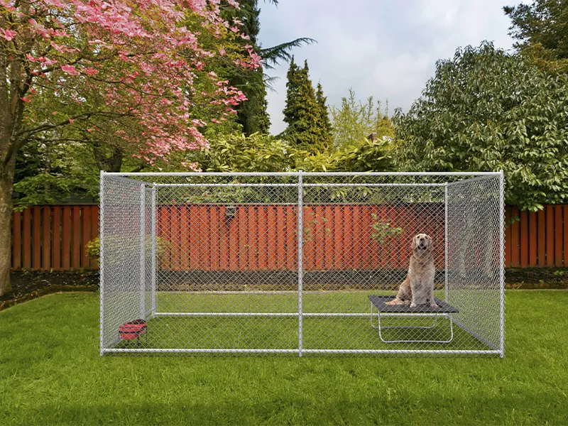 Chain Link Dog Kennels