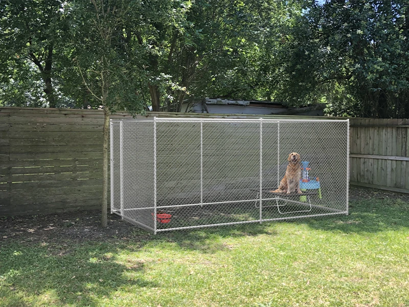 Chain Link Dog Kennels