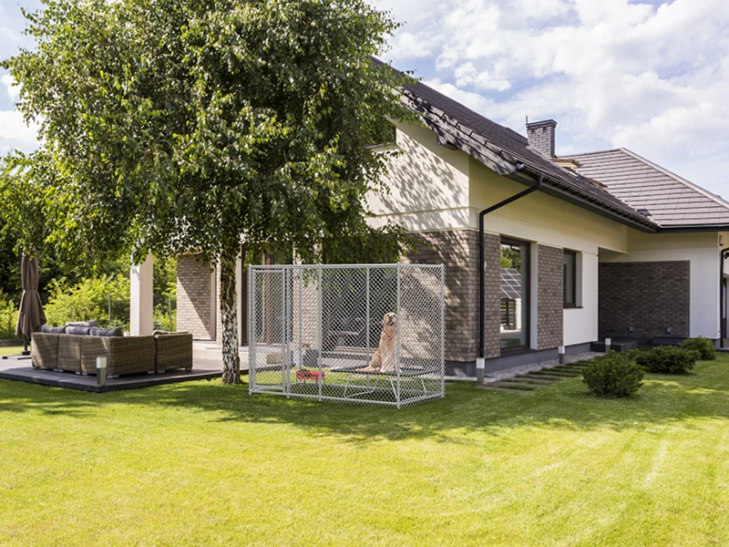 Chain Link Dog Kennels