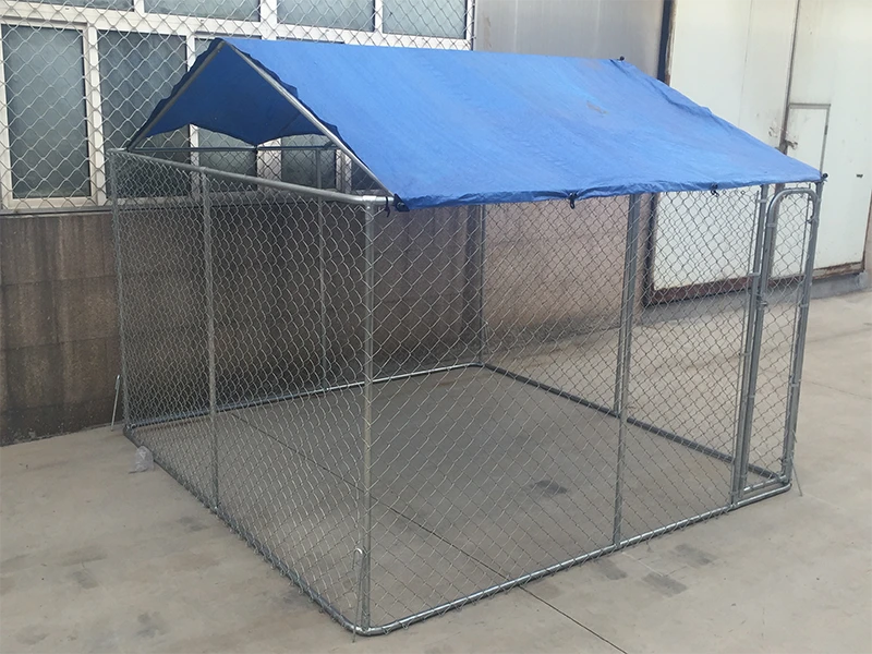 Chain Link Dog Kennels