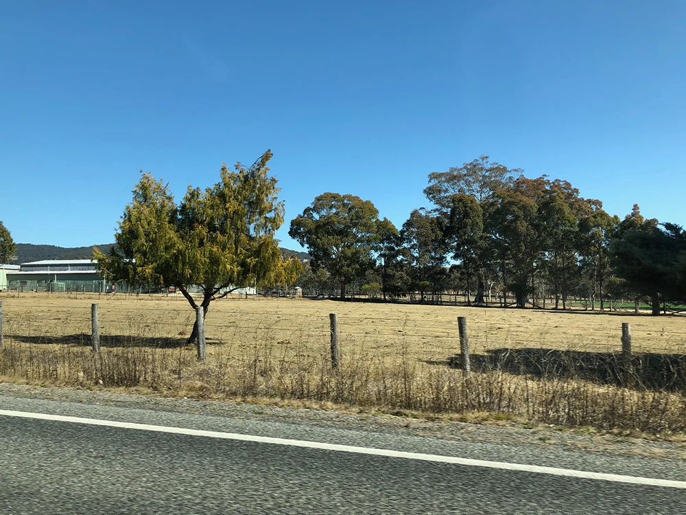 Barbed Wire Fences